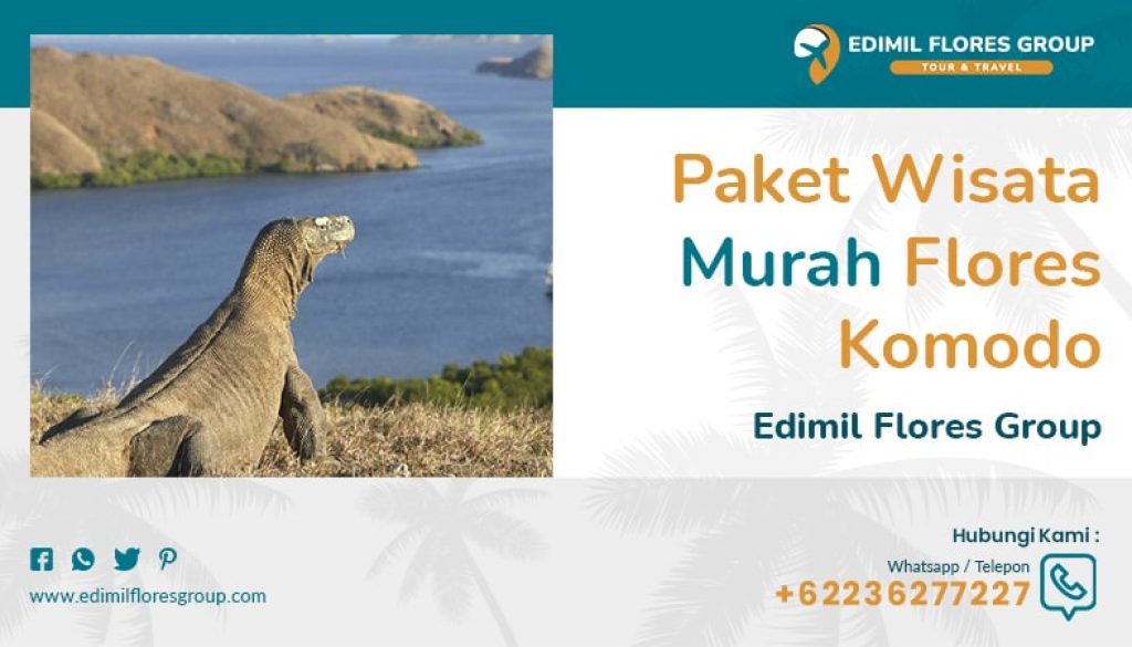 Artikel 1-min Artikel 1-min