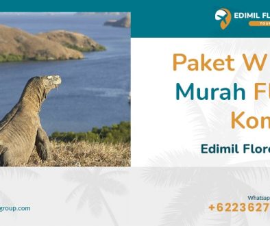 Artikel 1-min Artikel 1-min