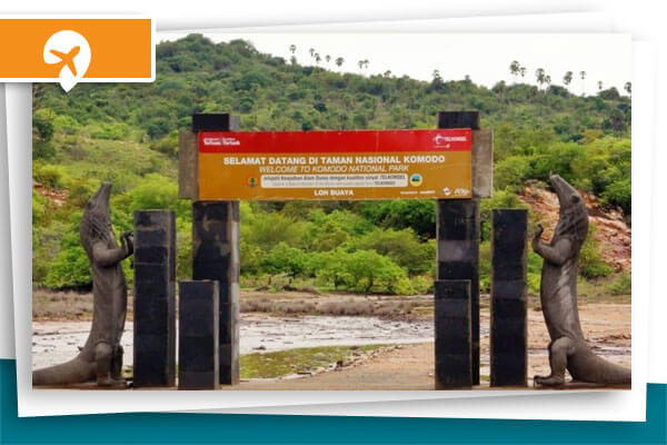 paket-wisata-taman-nasional-komodo paket-wisata-taman-nasional-komodo